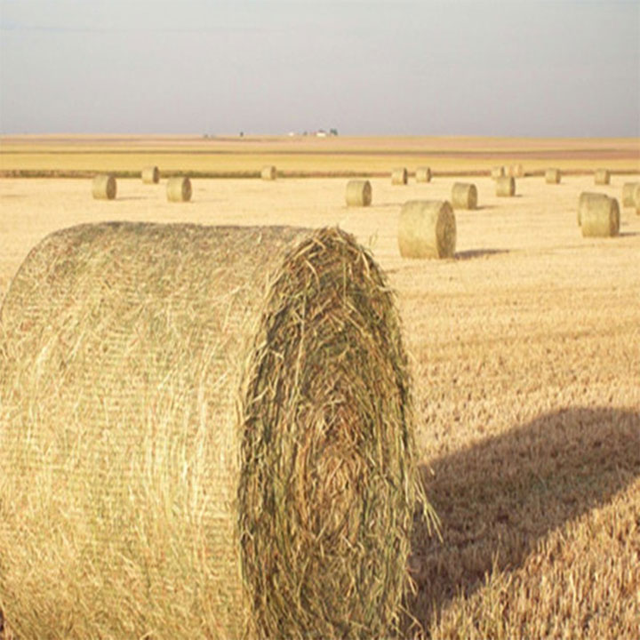 Plasă de înfășurare pentru baloturi biodegradabile HDPE pentru agricultură